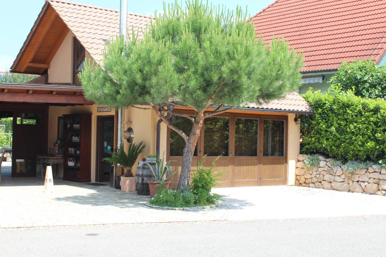 Pension Vanii, Apartments Руст Экстерьер фото